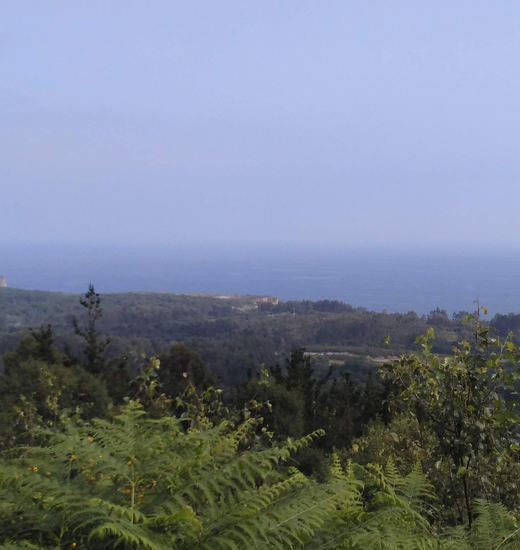 viendo estas vistas